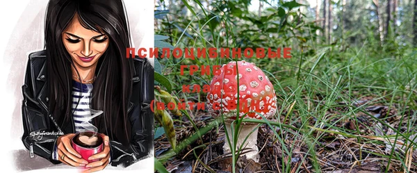 MESCALINE Надым